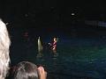 I&Y 30 juni 2010 (5) Dolfinarium Harderwijk